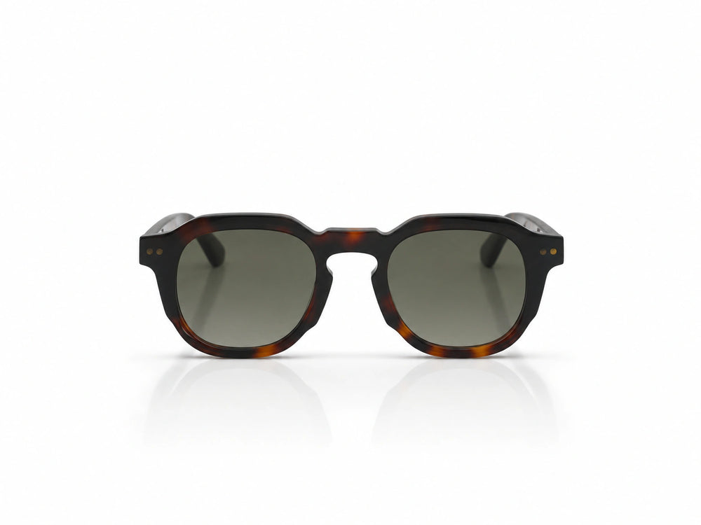 Lunettes Nuru écaille marron oversize — verres dégradés Tala Studio